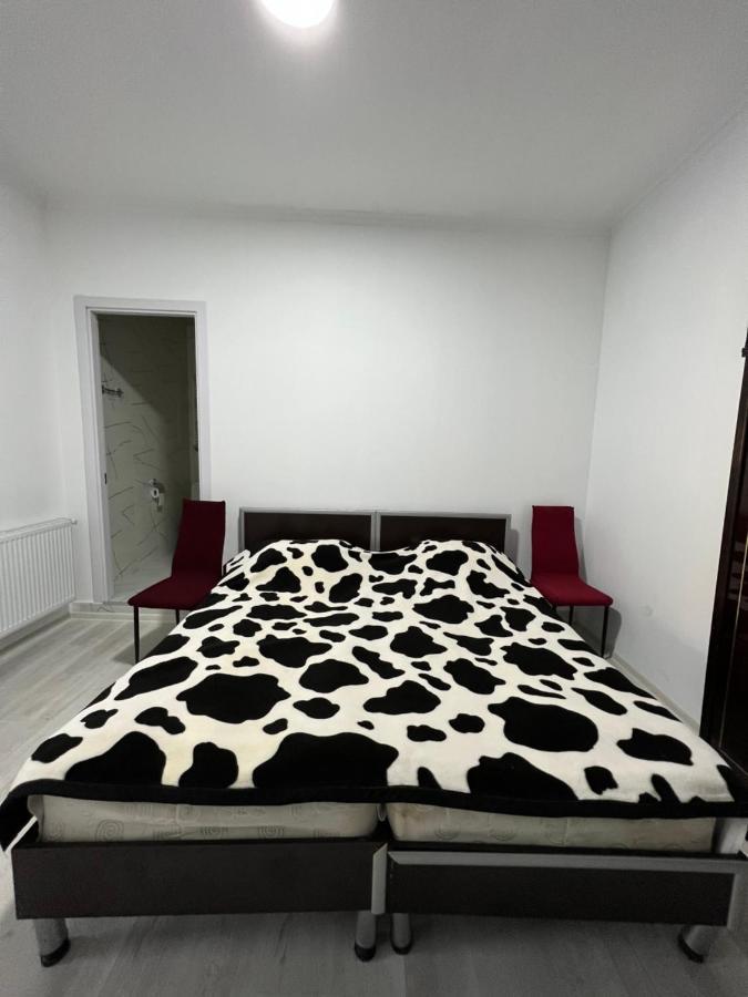 Guest House Lali Сигнахи Экстерьер фото